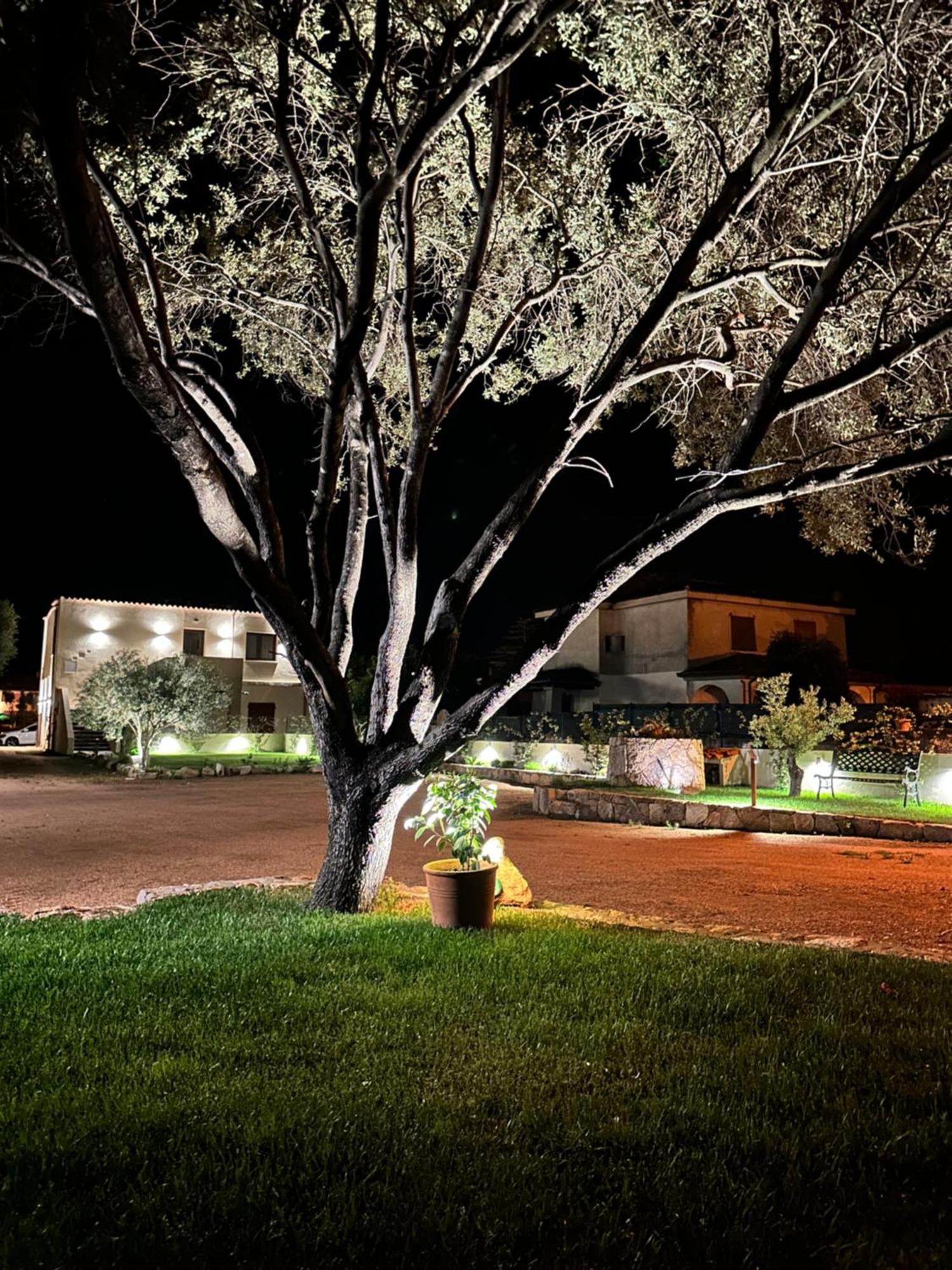 Hotel Karasole San Teodoro  Exteriér fotografie